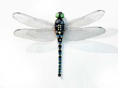 Dragonfly2