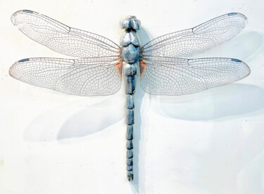 Dragonfly 12
