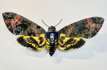 Acherontia